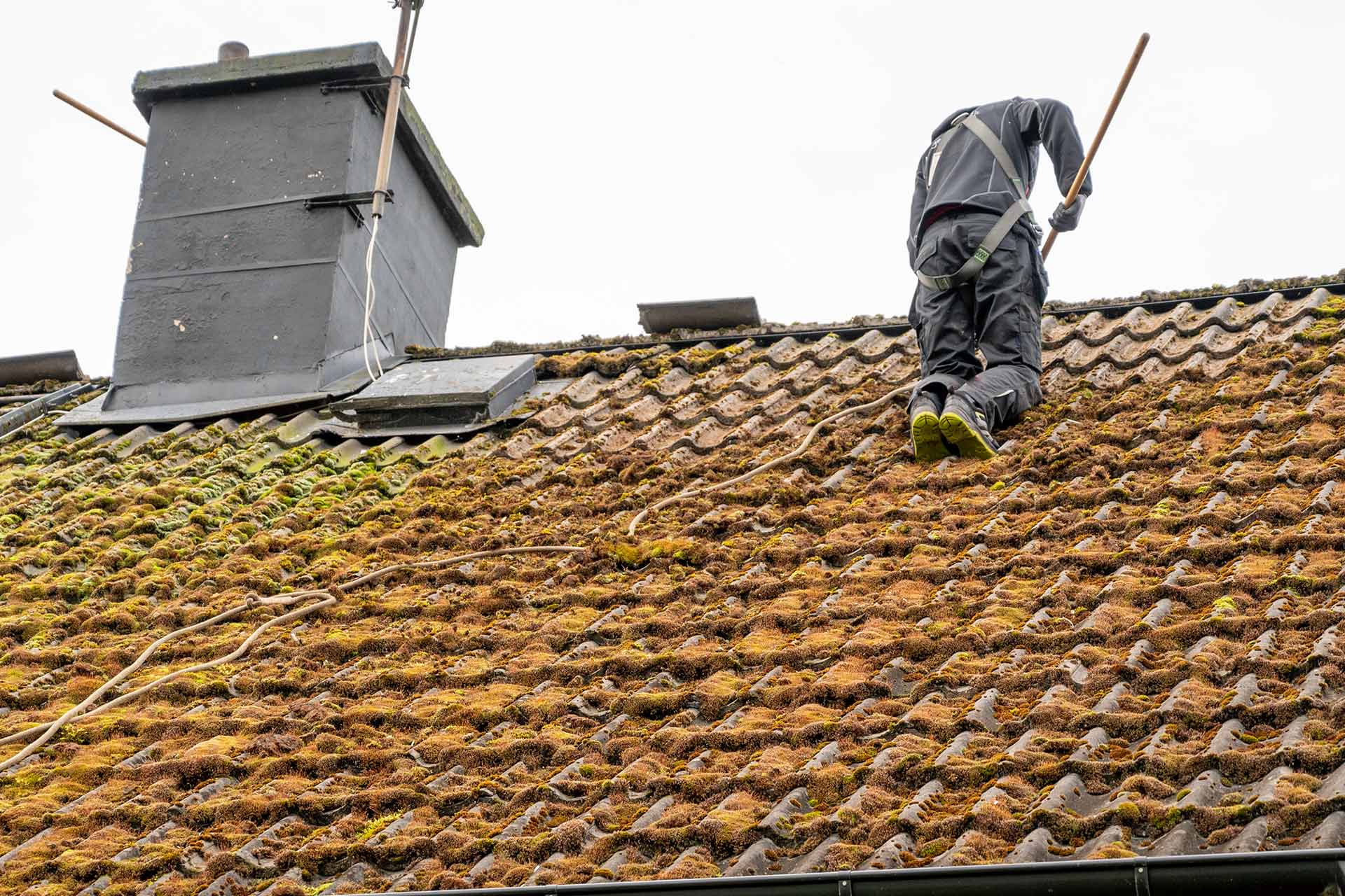 Reliable Roof Cleaning Specialists in Ipswich, Suffolk